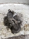 Starter Motor Fits 2004-2009 Mazda 3 Authentic Oem. Fixed Price $39.95.