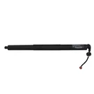 Genuine Ford Tailgate Lift Motor KT4Z-14B351-A. Fixed Price $288.68.