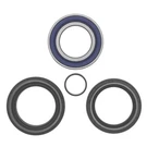Quadboss Honda TRX500FA Fourtrax High-speed Wheel Bearings & Seals Kit. Fixed Price $62.99.