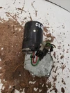 Windshield Wiper Motor Fits 98-10 Beetle 1419964. Fixed Price $59.00.