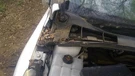 Focus 2015 Windshield Wiper Motor 28721. Fixed Price $58.00.