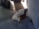 Starter Motor Fits 97-01 Cr-v 3756305. Fixed Price $45.00.