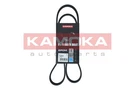 Kamoka 7016072 V-ribbed Belt Alfa Romeo, Bmw, Cadillac, Fiat, Ford, Honda, Lancia,. Fixed Price $10.17.