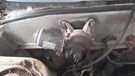 Windshield Wiper Motor Fits 97-02 Mirage 1724892. Fixed Price $35.99.